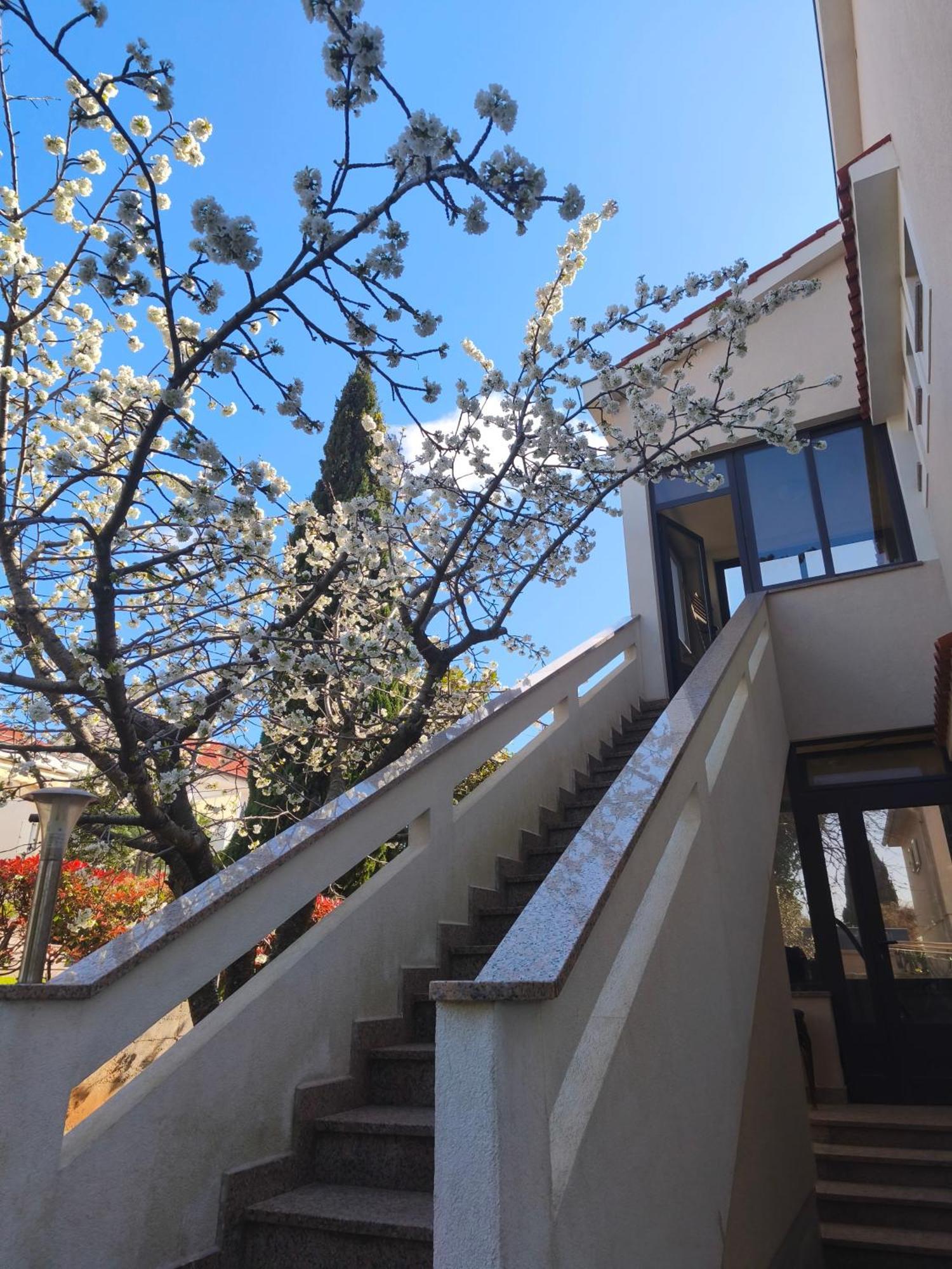 Apartmani Romana プナト エクステリア 写真